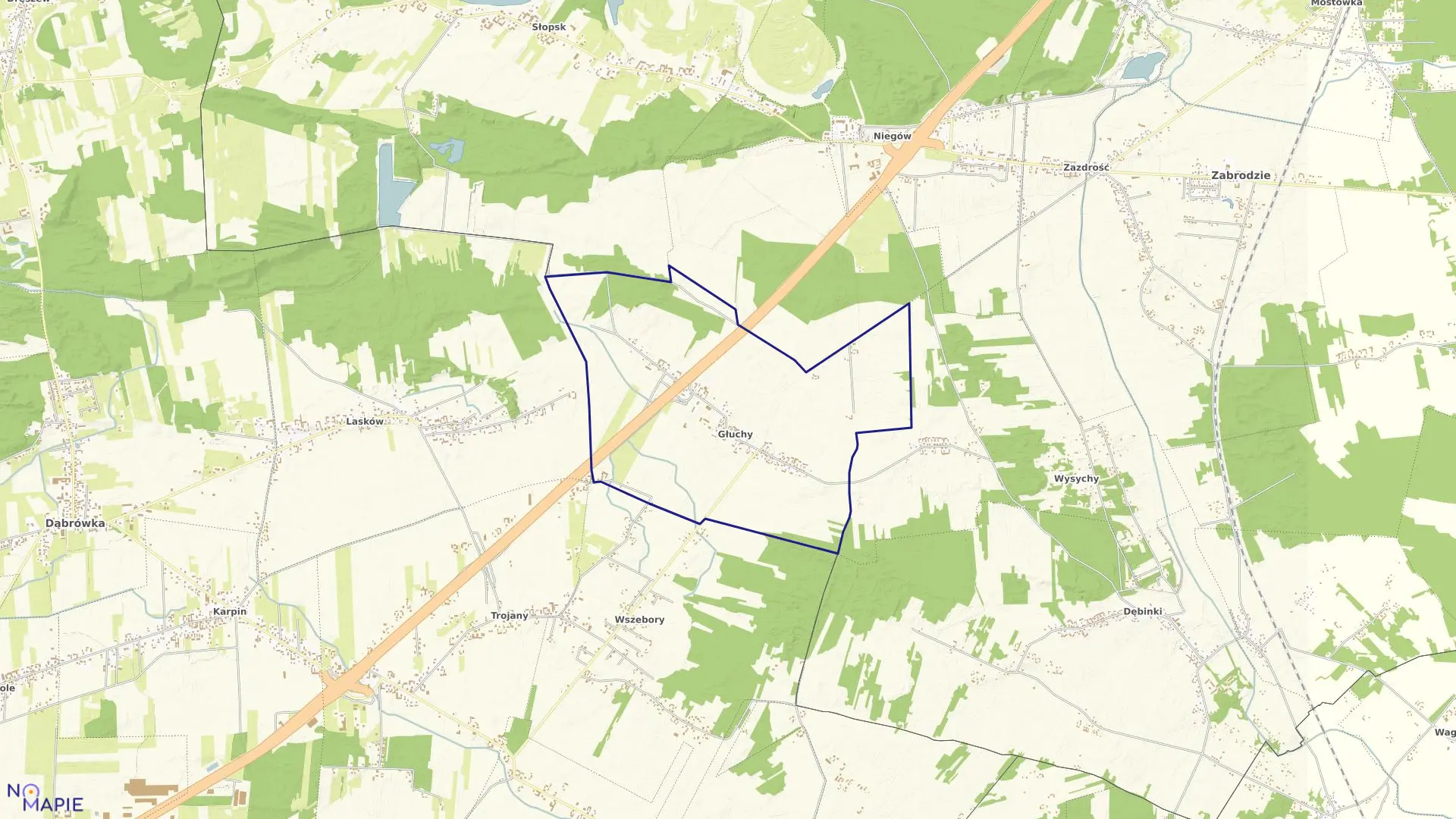 Mapa obrębu Głuchy w gminie Zabrodzie